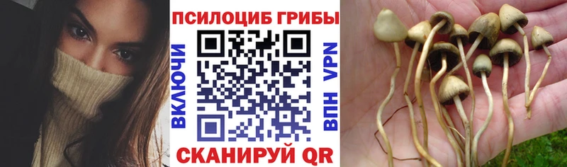 Псилоцибиновые грибы мухоморы  Купить где  Тырныауз 