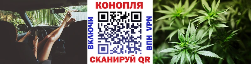 Купить  Тырныауз  Канабис планчик 